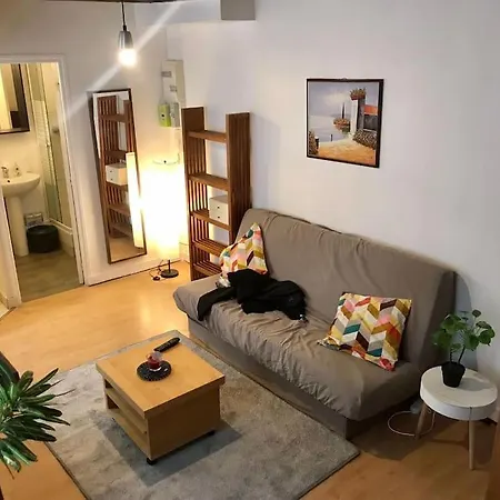 Lovely Duplex In The Center Of * Fontainebleau