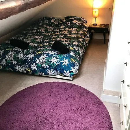 شقة Lovely Duplex In The Center Of فونتانبلو